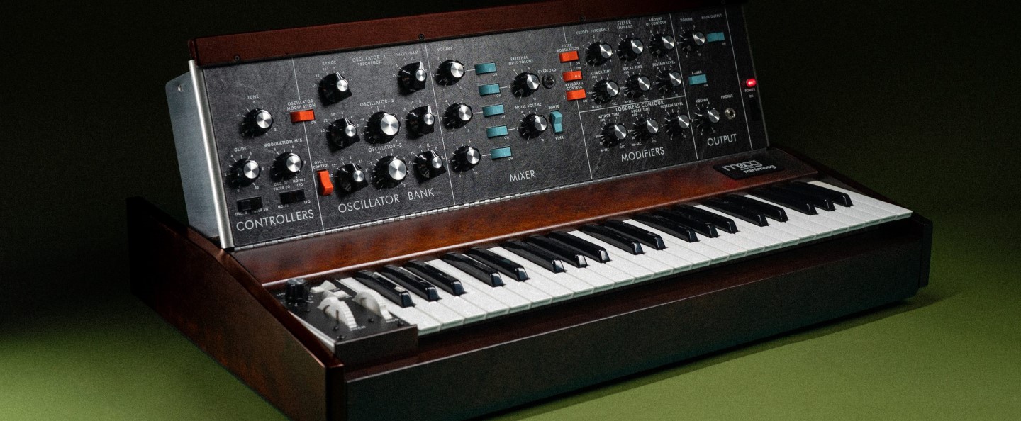 Minimoog Model D