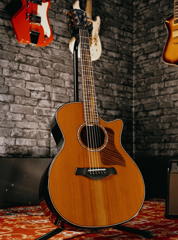 Celebrating 50 Years of Taylor Guitars