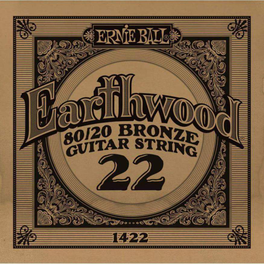 An image of Ernie Ball 1422 .022 Earthwood Acoustic 80/20 Bronze | PMT Online