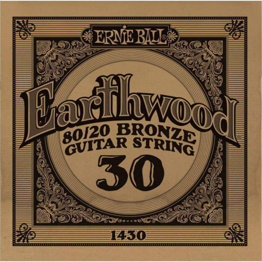 An image of Ernie Ball 1430 .030 Earthwood Acoustic 80/20 Bronze | PMT Online