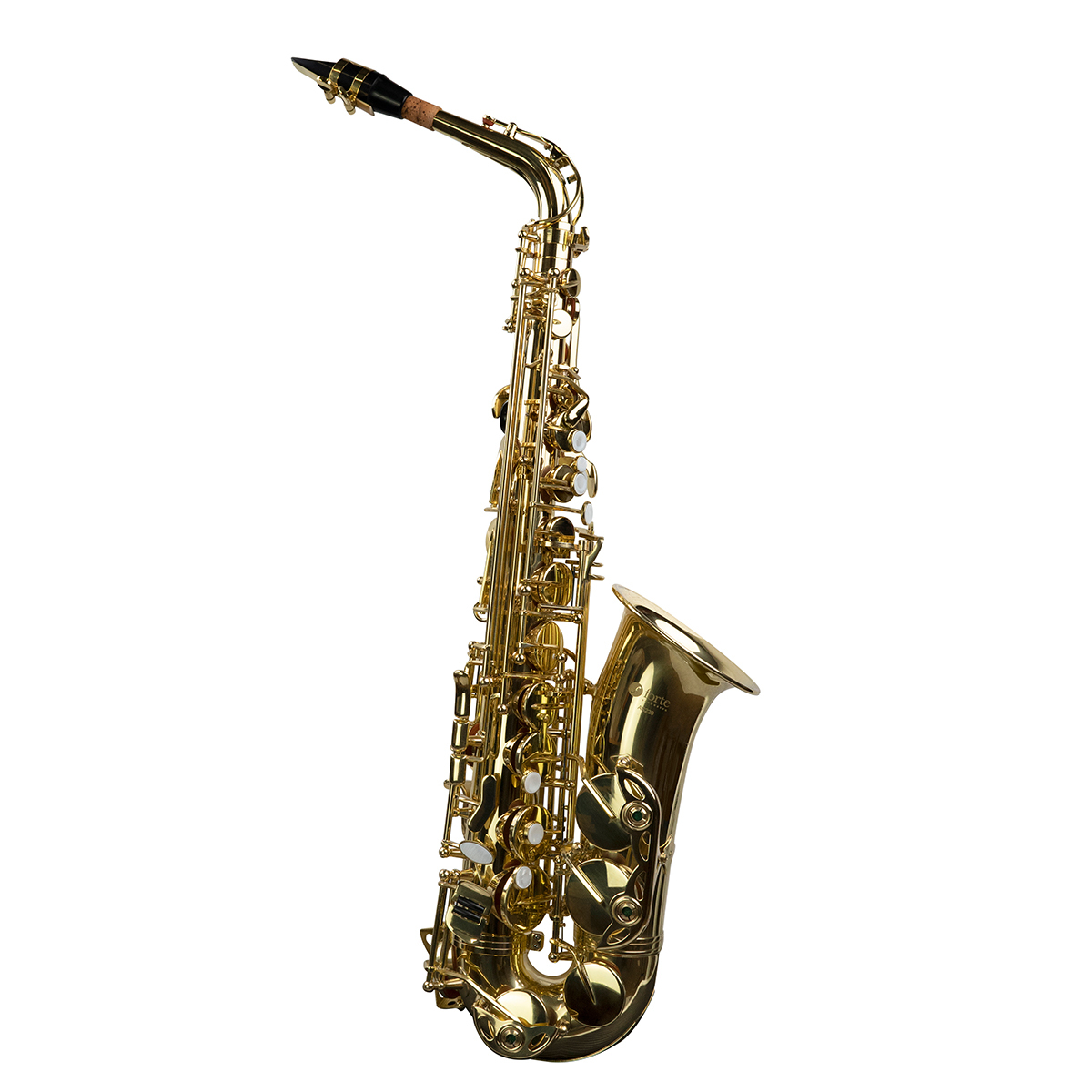 An image of Forte AS220 Student Eb Alto Saxophone Starter Kit with Case | PMT Online