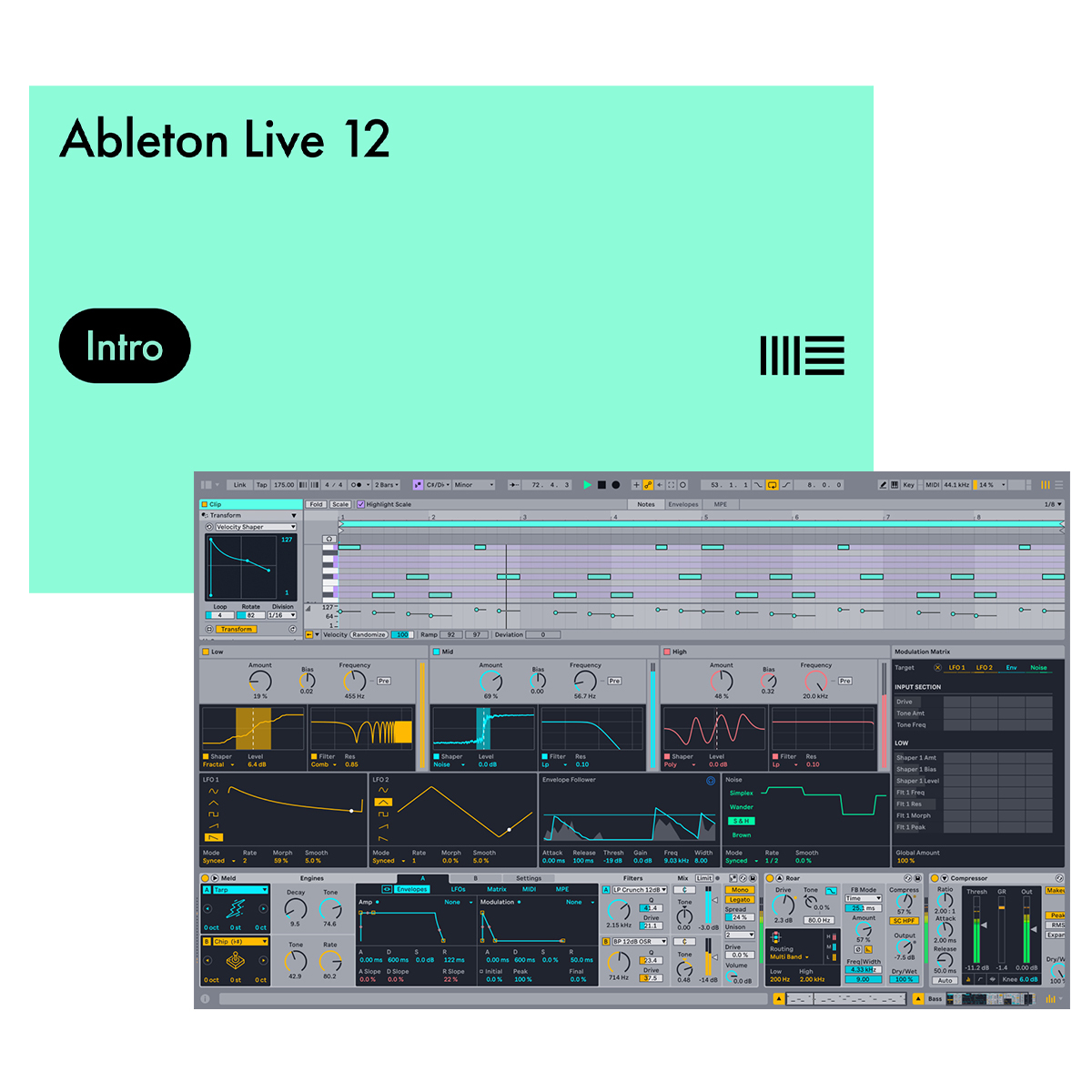 An image of Ableton Live 12 Intro Digital Download