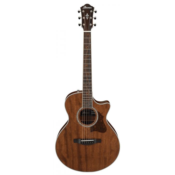 Ibanez AE245JR-OPN Ae Jnr Acoustic Guitar, Natural front view