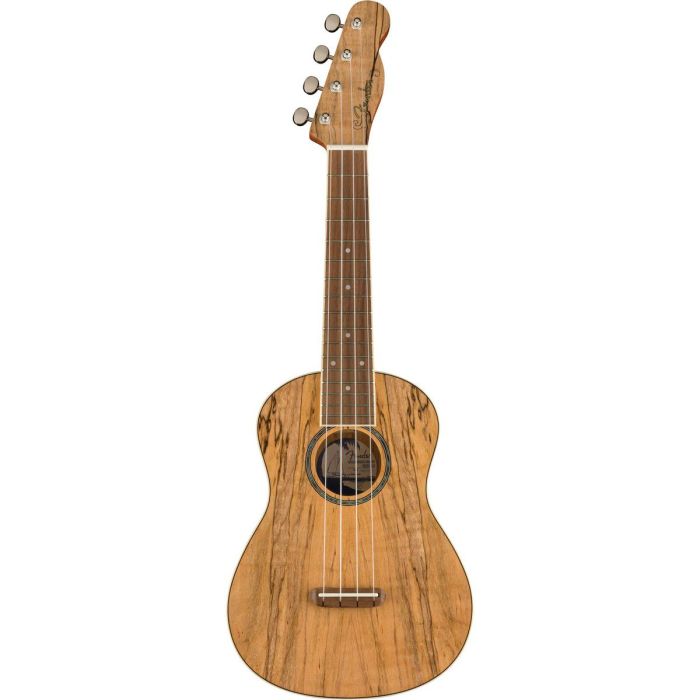Fender Zuma Exotic Concert Ukulele WN Spalted Maple, front view
