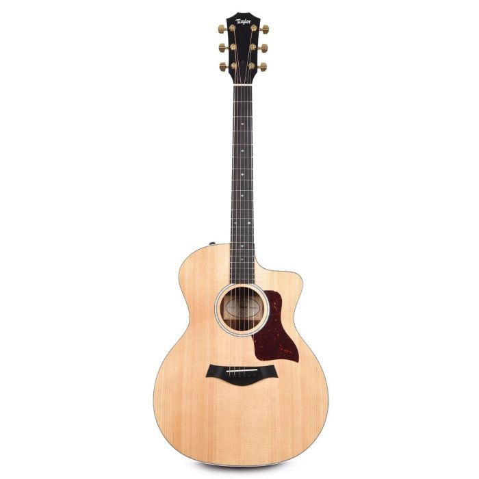 Taylor 214ce DLX Rosewood Electro Acoustic front view
