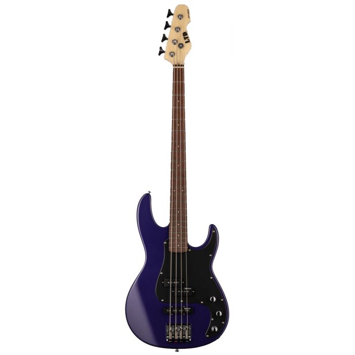 ESP LTD AP-204 DMP AP Bass Guitar, Dark Metal Purple front view