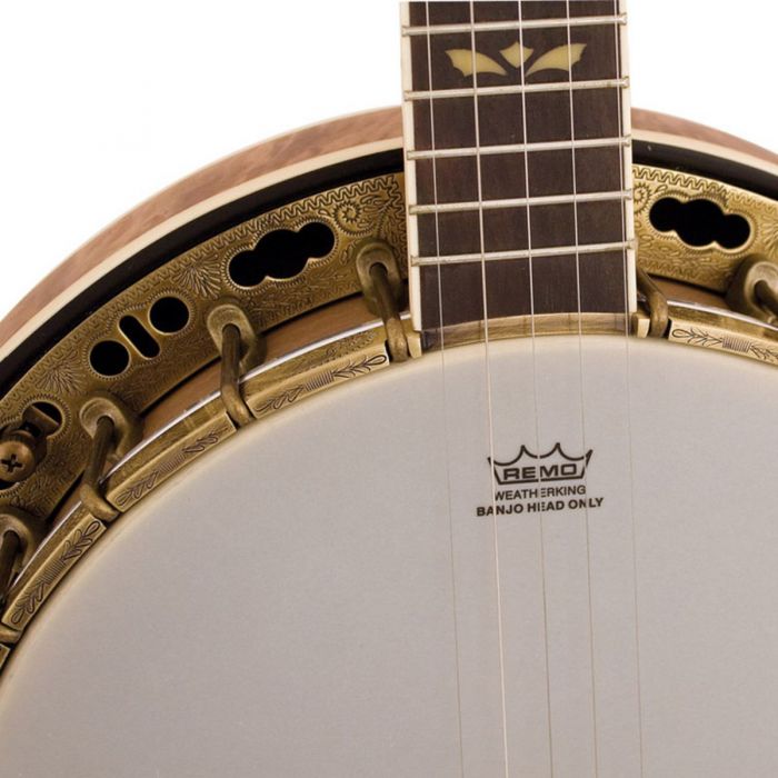 Barnes & Mullins Troubadour 5-String Banjo neck