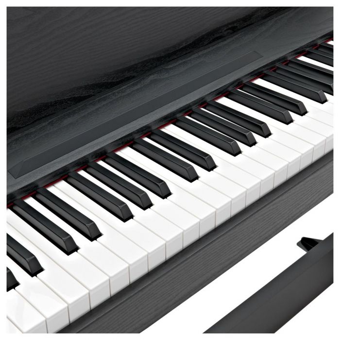 Korg C1 Air 88 Key Digital Piano, Wood Grain Black Keys Detail