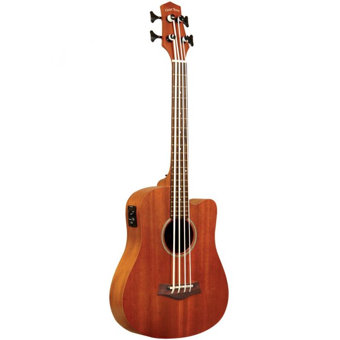 Overview of the Gold Tone M-Bass Acoustic-Electric MicroBass