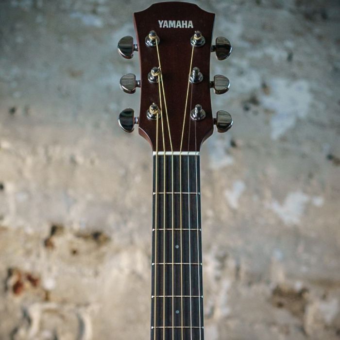 Yamaha A3M ARE Mahogany Electro Acoustic Vintage Natural, headstock closeup