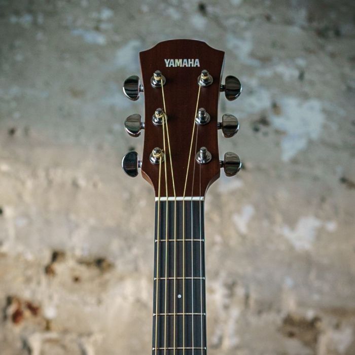 Yamaha AC3M ARE Concert Mah Electro Acoustic Vintage Natural, headstock closeup