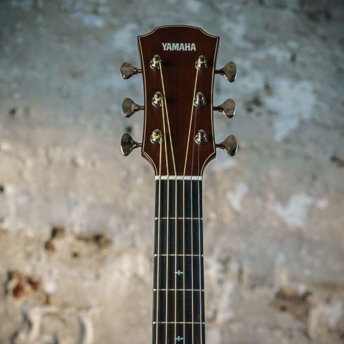 Yamaha AC5M ARE Concert Mahogany Electro Acoustic Vintage Natural, headstock closeup