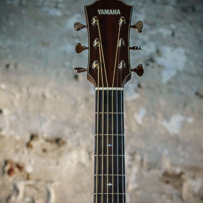 Yamaha AC5R ARE Concert Rosewood Electro Acoustic Vintage Natural, headstock closeup