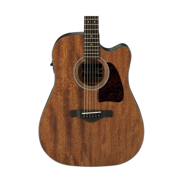 Ibanez AW54CE Artwood Electro Acoustic in Natural Finish Body Detail