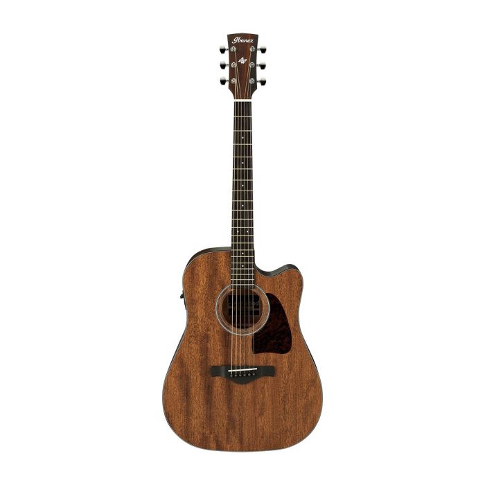 Ibanez AW54CE Artwood Electro Acoustic in Natural Finish Front View