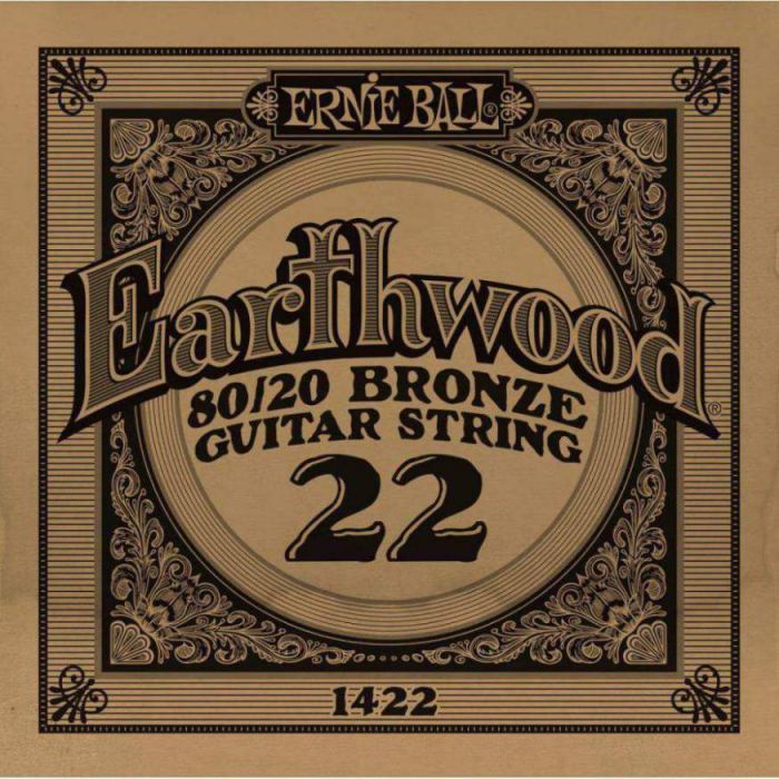 Front View of Ernie Ball 1422 .022 Earthwood Acoustic 80/20 Bronze