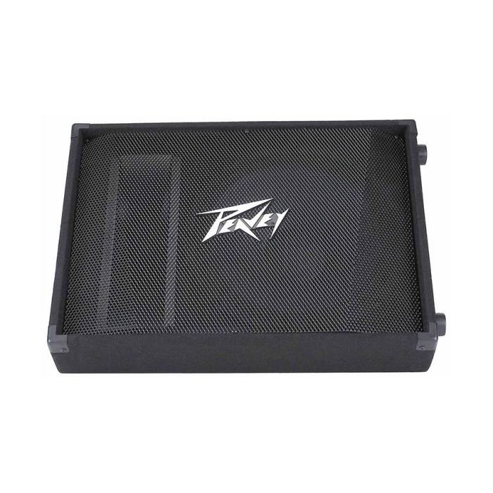 Peavey PV 15M 2-Way Floor Monitor front view