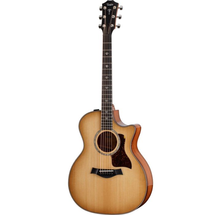 Taylor 514ce Urban Ironbark Torrefied Sitka, front view