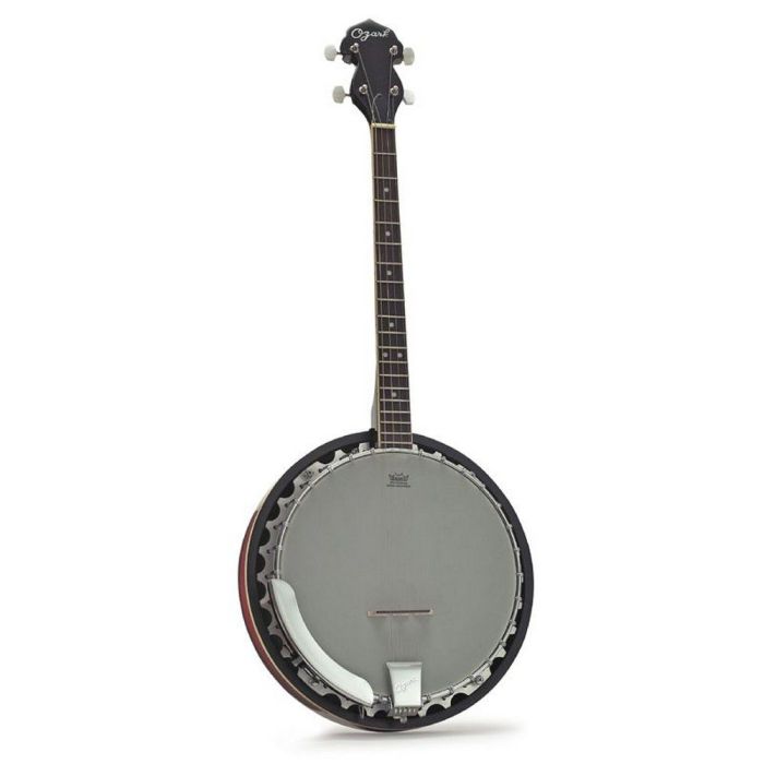 Ozark Tenor Banjo And Cover, front view