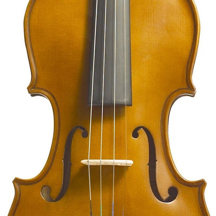 Stentor Violin Outfit Student I 1-16 body closeup