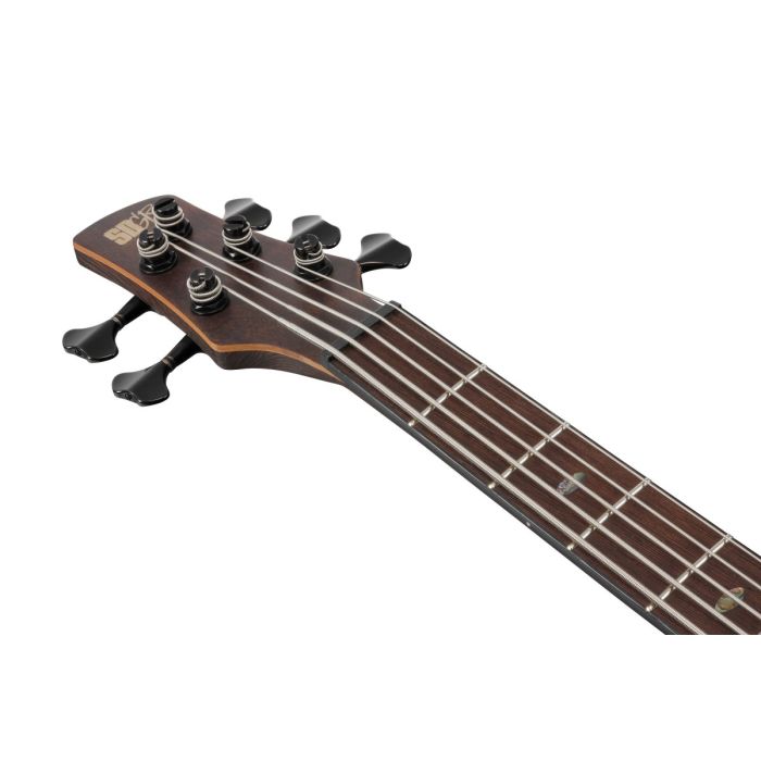 Ibanez SR1355B EB 5 String Bass Guitar Dual Mocha Burst Flat, headstock front