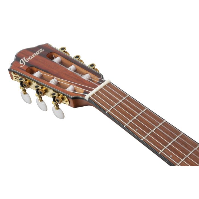 Ibanez FRH10N BSF Brown Sunburst Flat Classical Guitar, headstock front