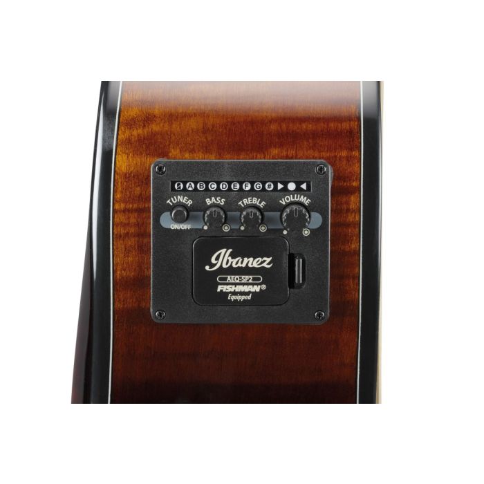 Ibanez AEWC400 AMS Preamps