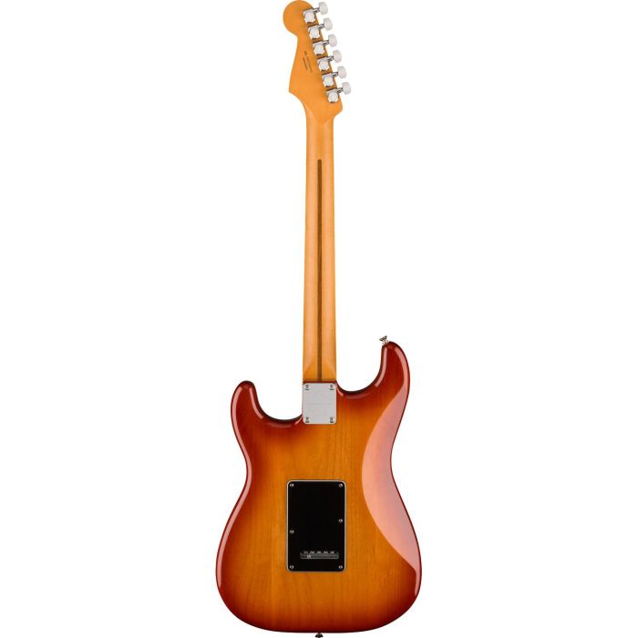 Fender Player Plus Stratocaster Pf Siena Sunburst, rear view