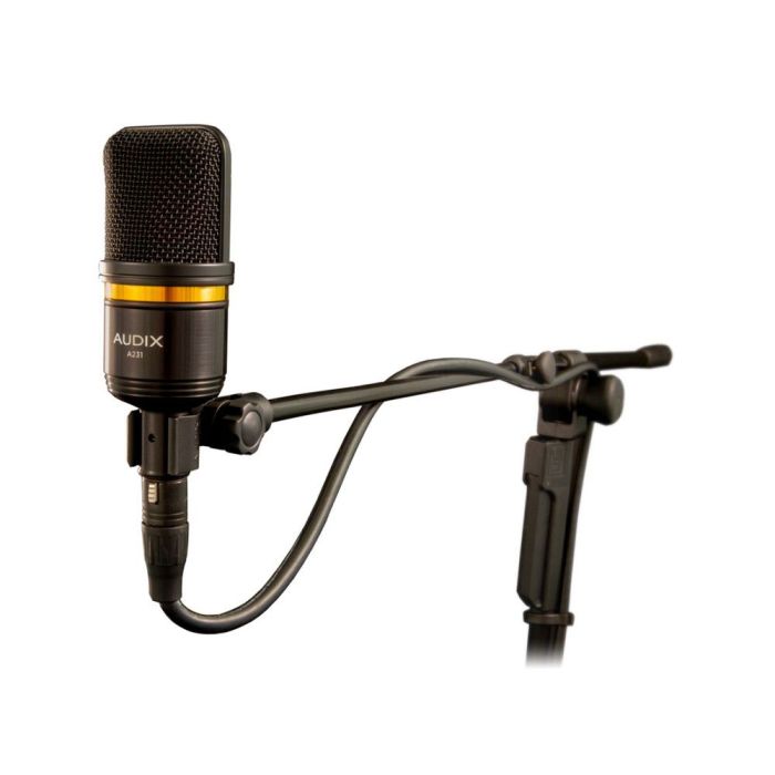 Audix A231 Large Diaphgram Condenser Microphone in a stand