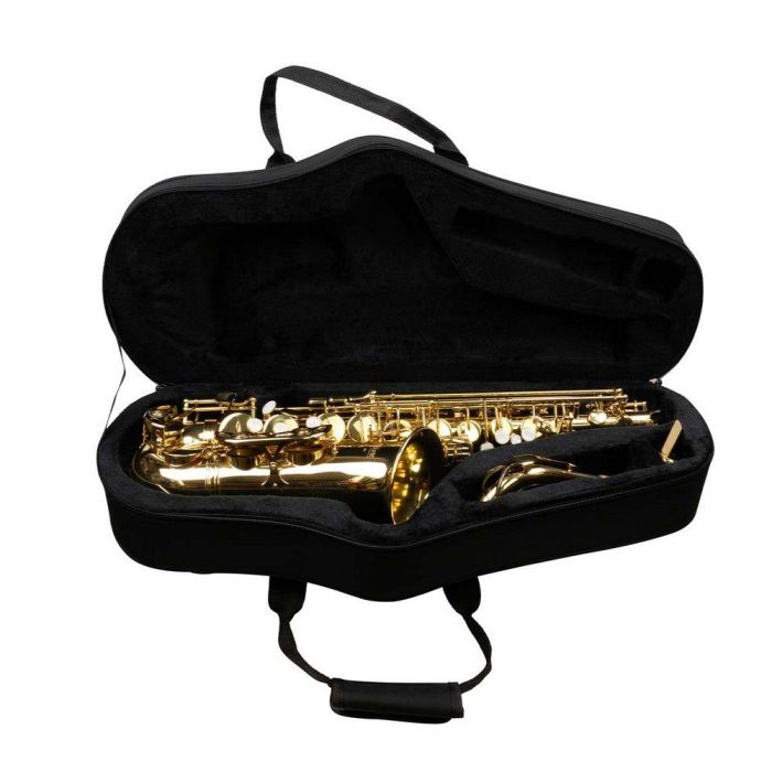 Forte AS1 Eb Alto Saxophone Outfit with case
