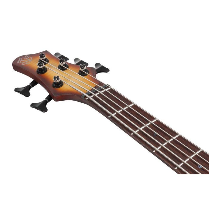 Ibanez Btb705lm nnf Natural Browned Burst Flat 5 String Bass Guitar, headstock front