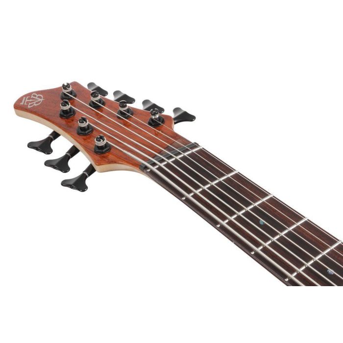 Ibanez Btb7ms nml Natural Mocha Low Gloss 7 String Bass Guitar, headstock front