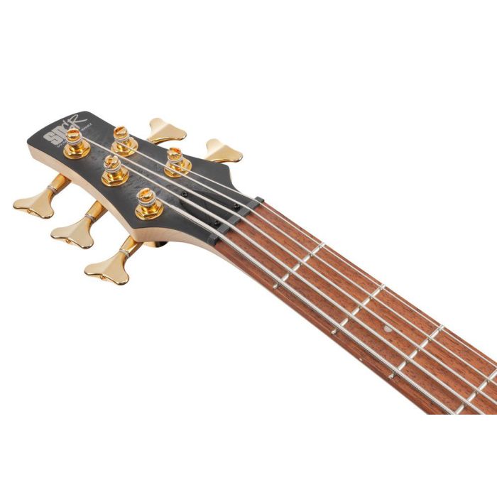Ibanez Sr305edx bzm Black Ice Frozen Matte 5 String Bass Guitar, headstock front