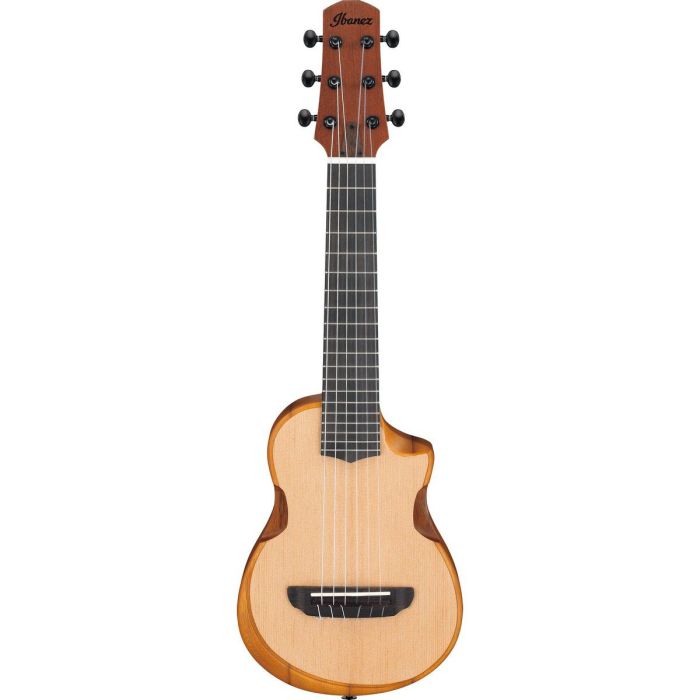 Ibanez Aup10n opn Open Pore Natural Ukulele W Bag, front view