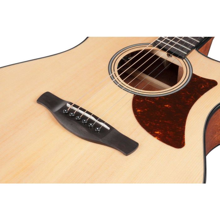 Ibanez Aam50ce opn Open Pore Natural Electro acoustic Guitar, body closeup