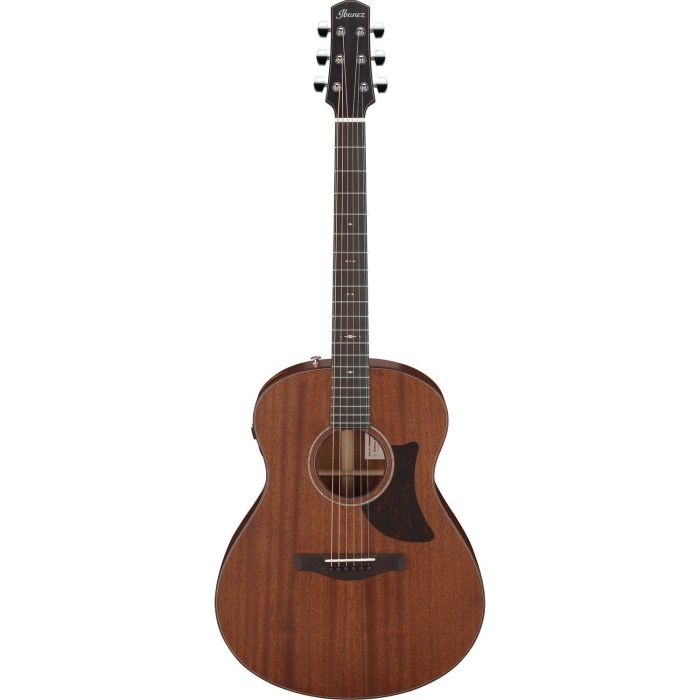 Ibanez Aam740e lg Natural LG Electro acoustic Guitar W Case, front view