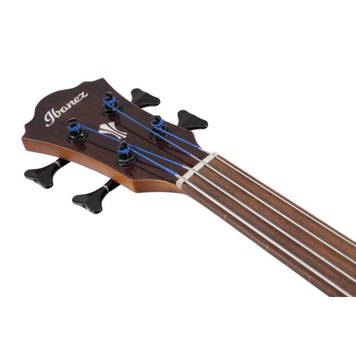 Ibanez Aegb24fe mhs Mahogany Sunburst High Gloss Electro acoustic Bass Guitar, headstock front