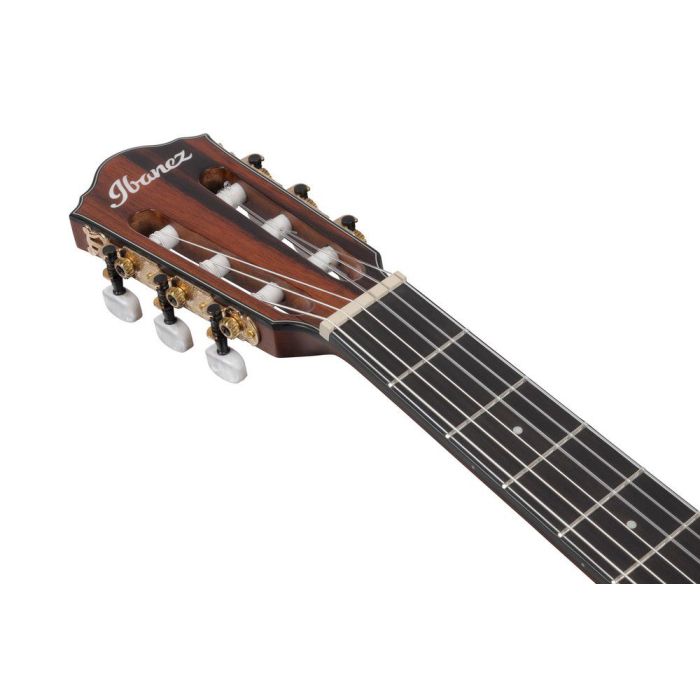 Ibanez Aeg74n mhs Mahogany Sunburst High Gloss Electro acoustic Guitar, headstock front