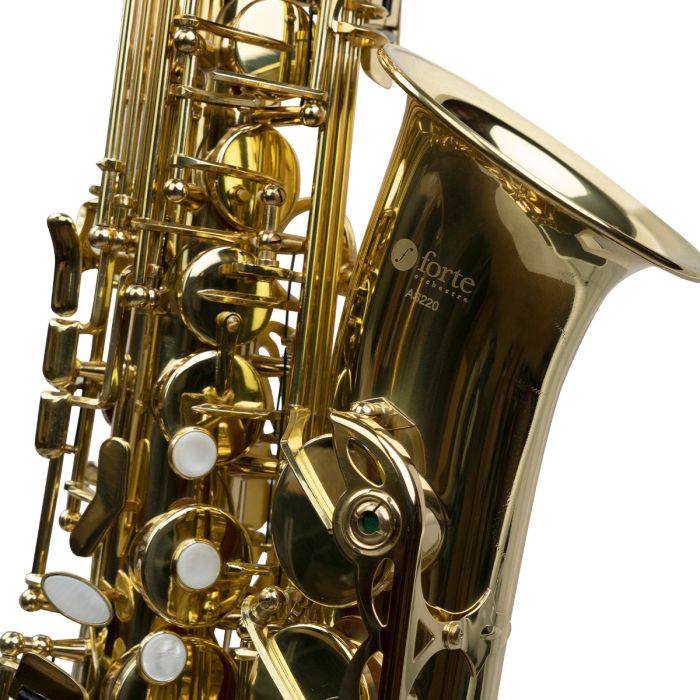 Forte AS220 Eb Alto Saxophone Outfit