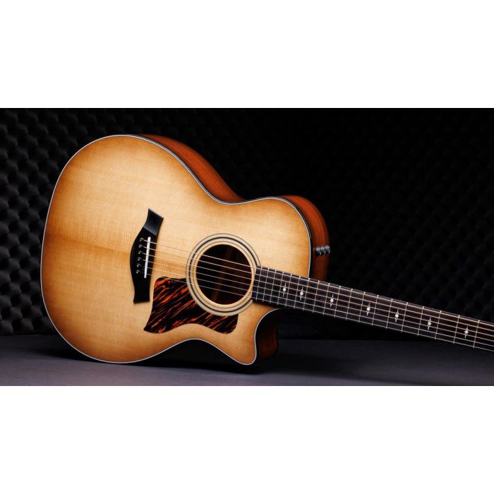 Taylor 314ce 50th Anniversary Electro-Acoustic Guitar lifestyle shot