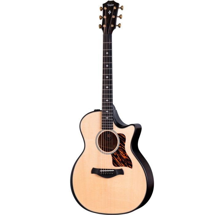 Taylor Builders Edition 314ce Ltd Natural Top, front view