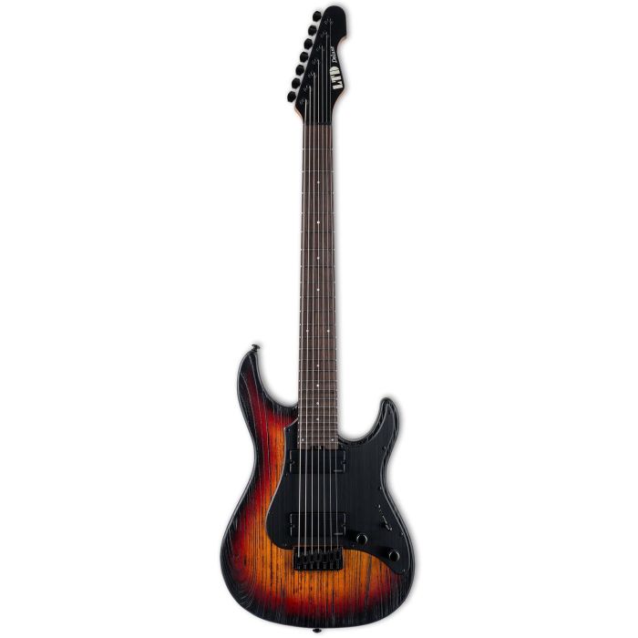 ESP LTD Snapper SN-1007 Baritone Electric Guitar, FireBlast front view