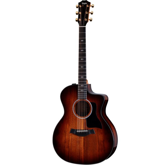 Taylor 224ce-K Deluxe Electro Acoustic Guitar front view