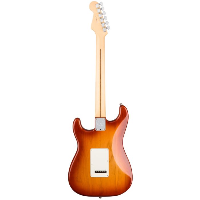 Fender American Professional Stratocaster Ash RW, Sienna Sunburst Rear