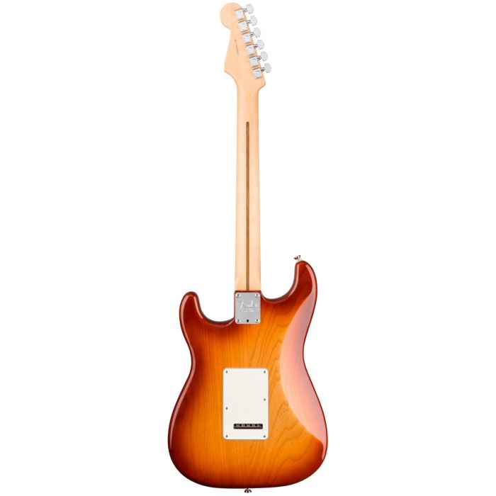 Fender American Professional Stratocater Ash (MN), Sienna Sunburst Rear