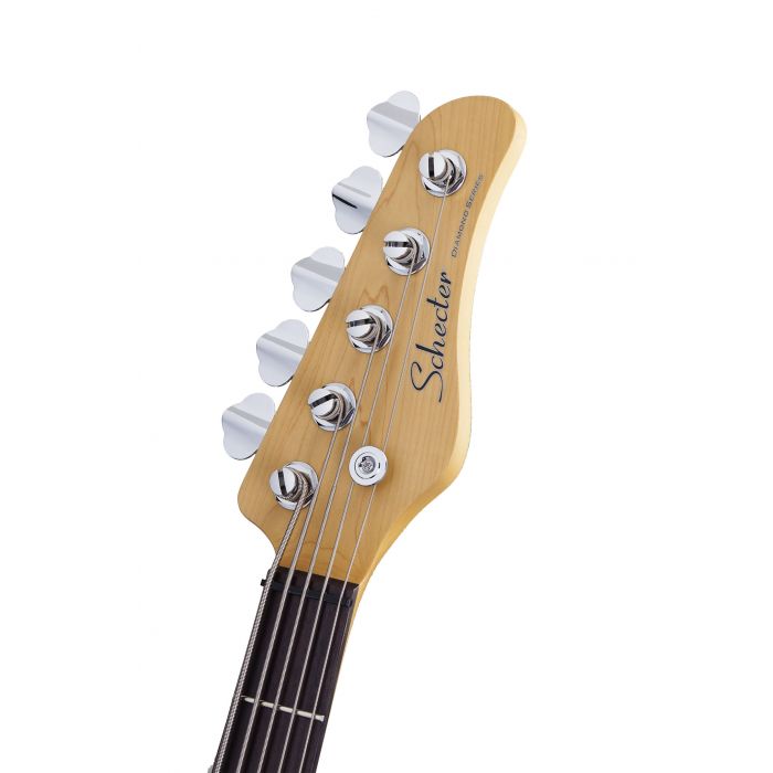 Schecter CV-5, 5 String Bass in Natural Head Stock