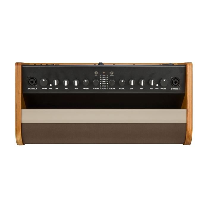 Fender Acoustic 100 Acoustic Guitar Amplifier Controls