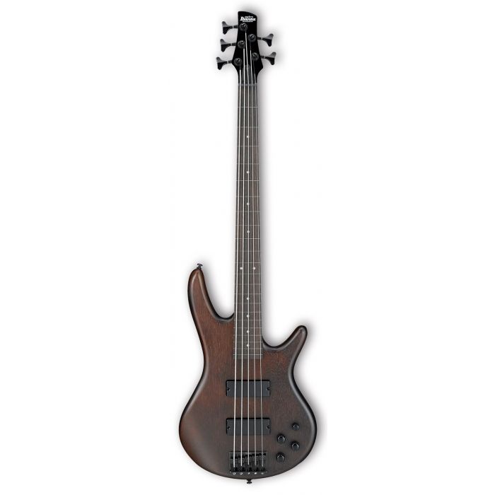 Budget Affordable 5 string fretless bass