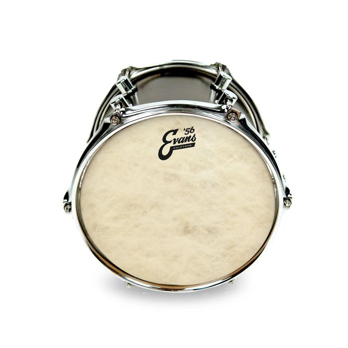 Evans '56 Calftone Tom Batter 8 Inch On A Drum