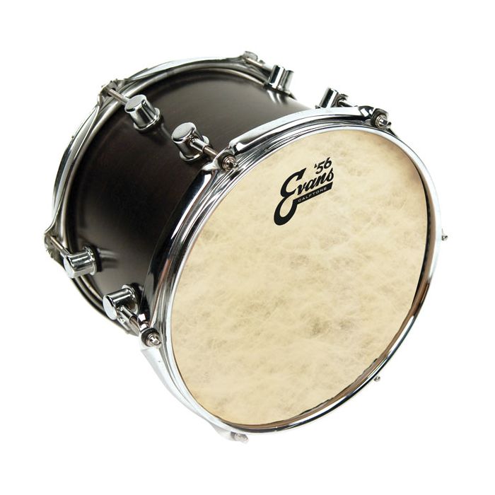 The Evans ’56 Calftone 14 Inch Tom Batter offers the fantastically rich and warm tones of natural calfskin but with high quality synthetic material.

Cutting Edge Synthetic Calfskin

Natural skin has been a stable in drum crafting due to the beautiful